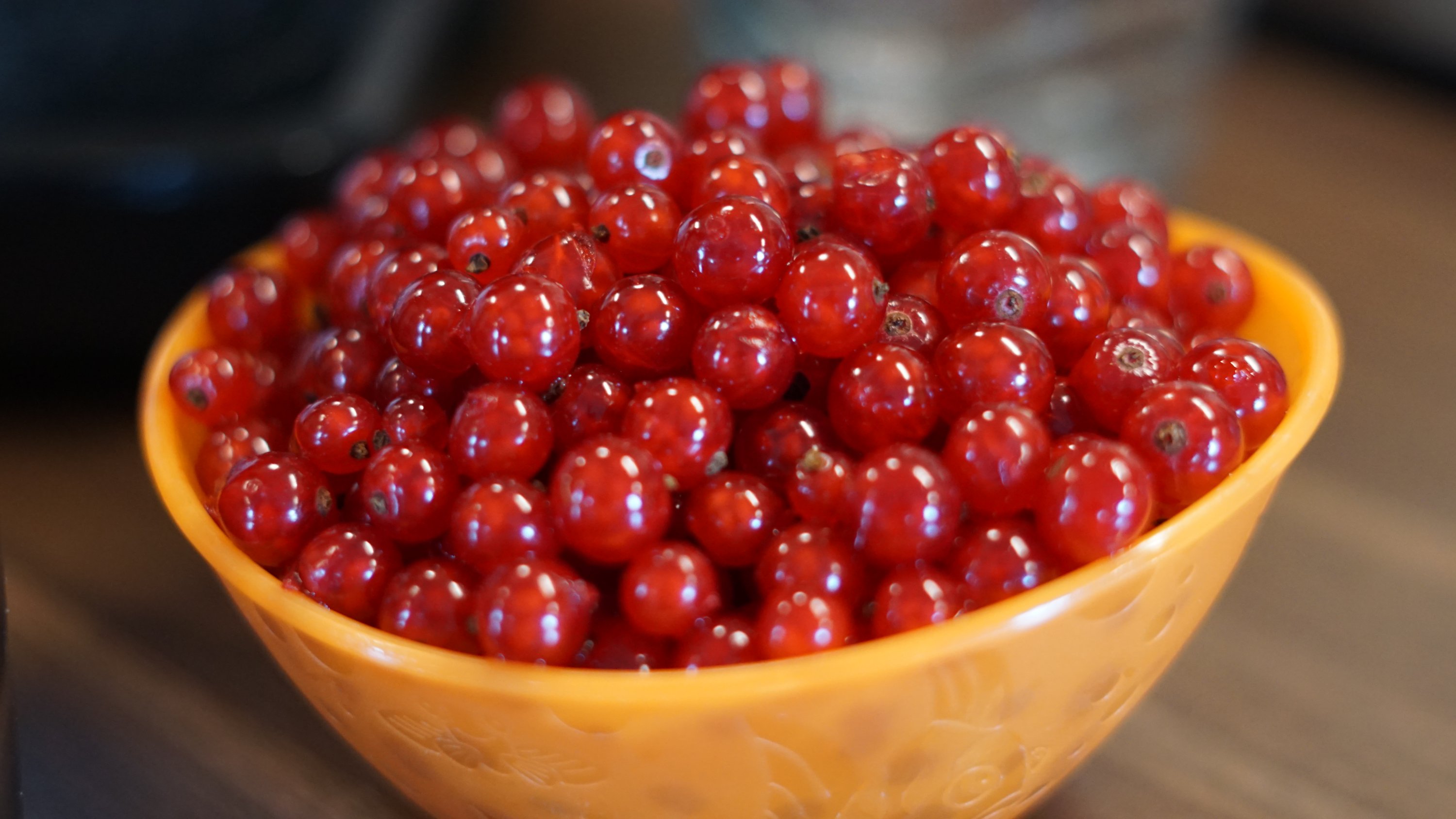 Orange Plastikschale, gefüllt mit roten Johannisbeeren. Jede zeigt einen kleinen Lichtreflex.