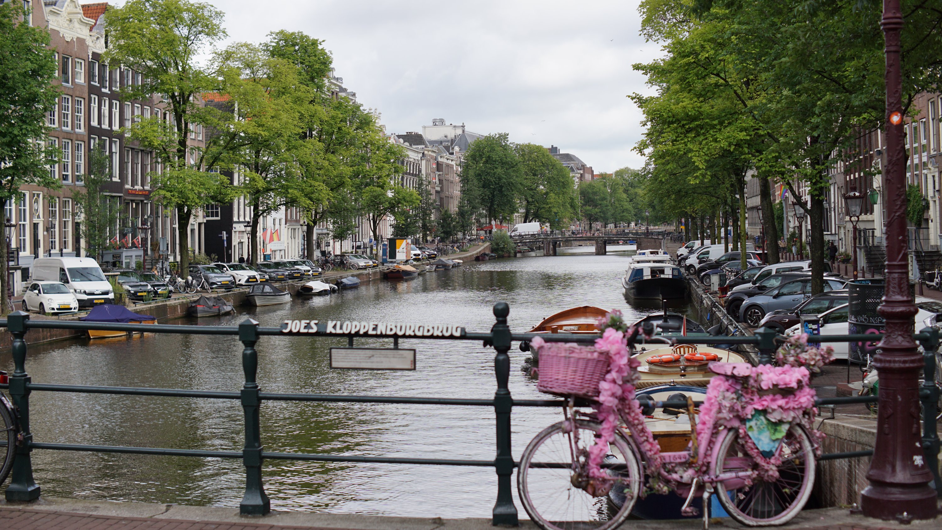 Gracht, rosa Fahrrad mit Blüten dekoriert 