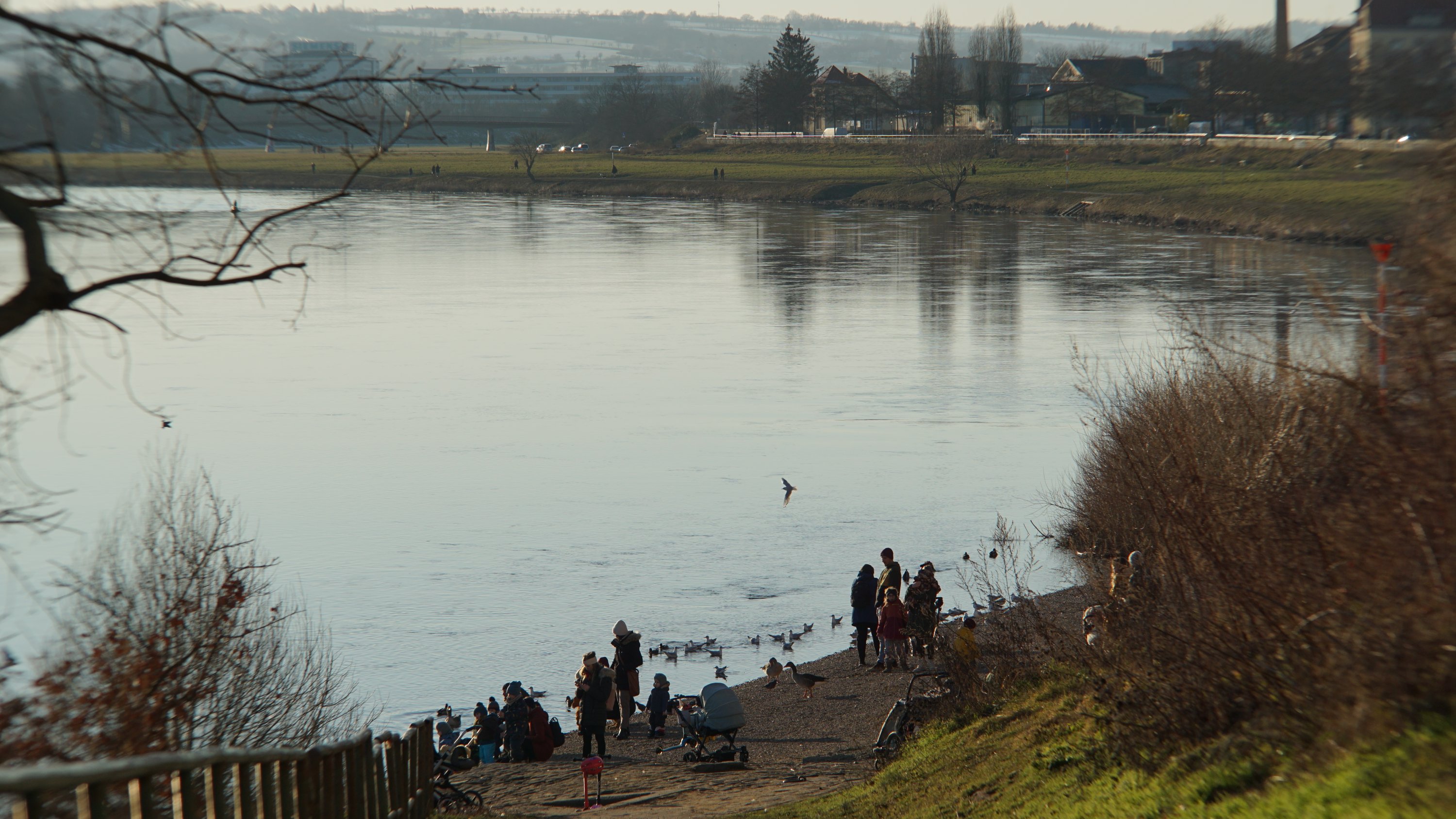 Blick zur Elbe runter, jede Menge Menschen dort die mit Kindern die Vögel füttern