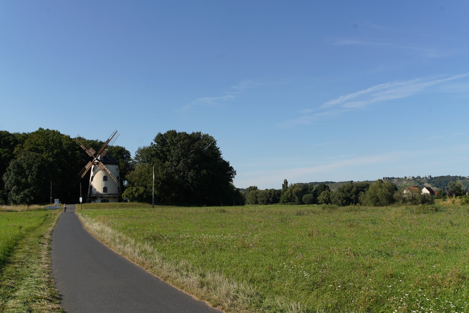 Windmühle und Baumgruppe vom Elberadweg aus gesehen 