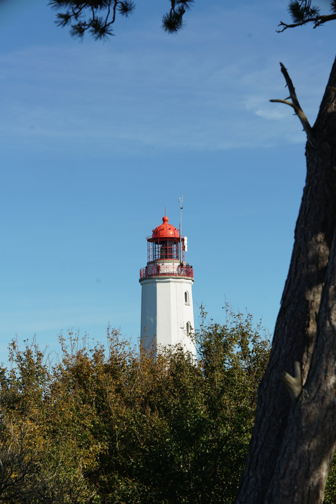 Leuchtturm mit Baum unscharf am Bildrand/Vordergrund 