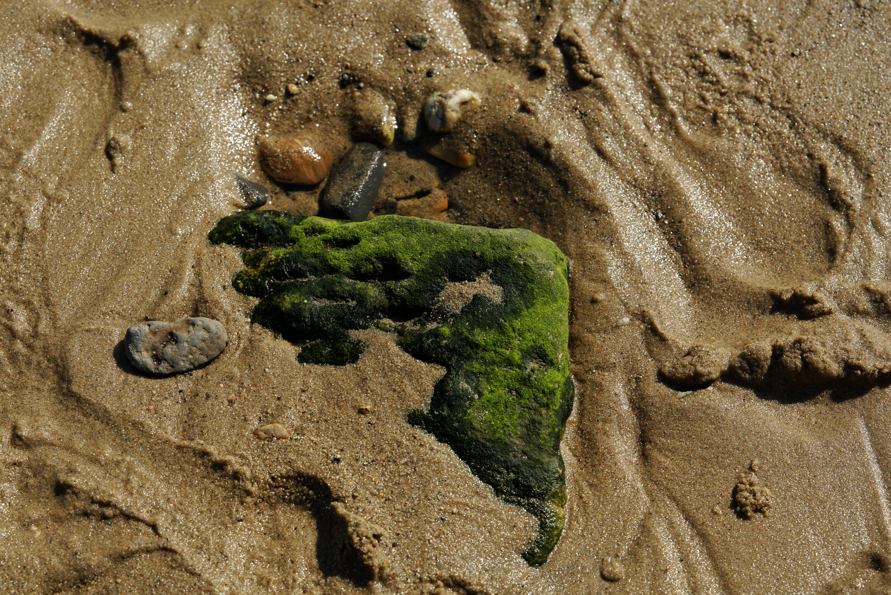 Ein Moosbedeckter Stein im Sand/Schlick eines Bachlaufes.
Kleine, rundgewaschene Steinchen und verspülter Sand ringsum - viel Sonnenschein 