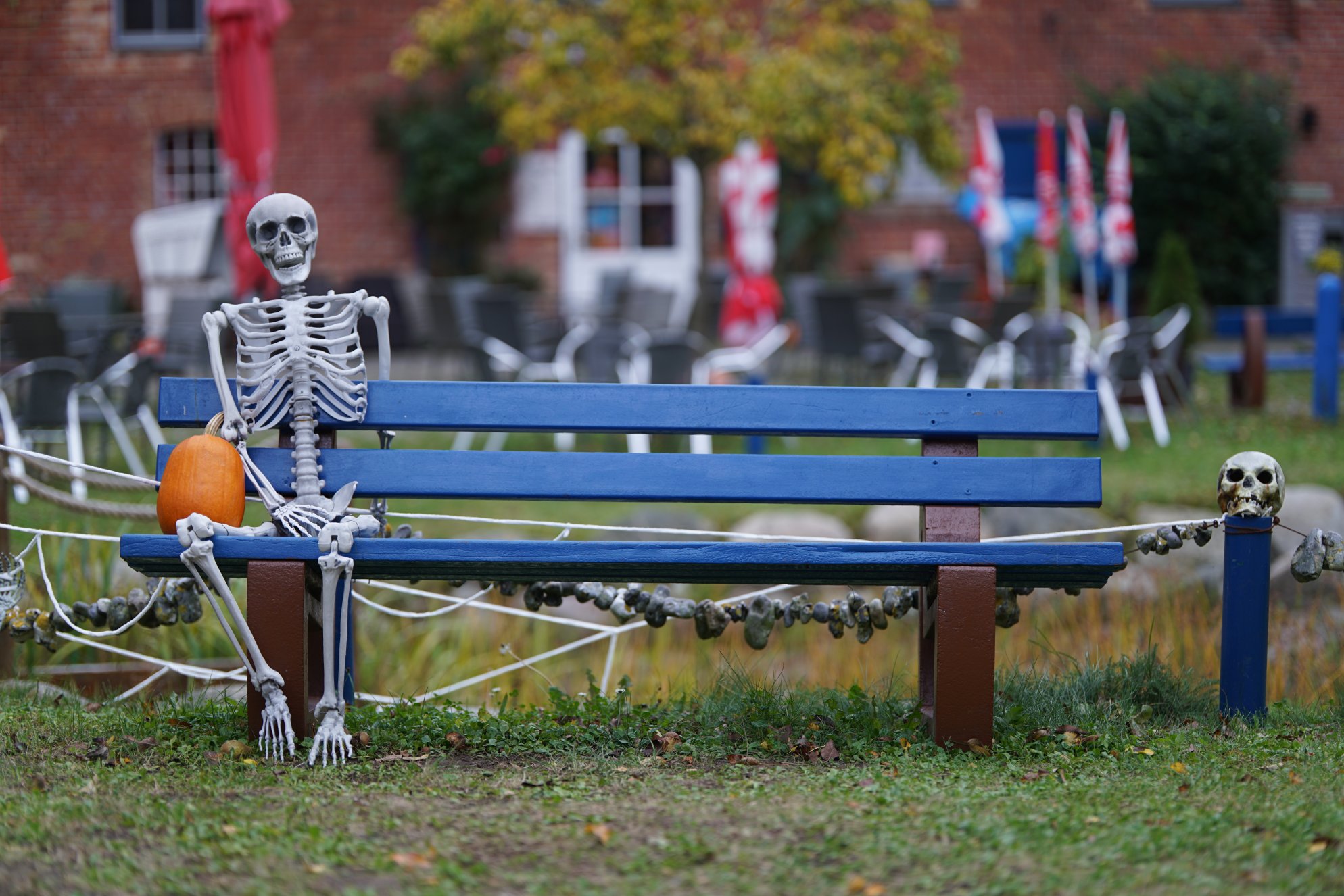 Halloween-Deko, Skelett und Kürbis auf blauer Bank, Totenkopf daneben 