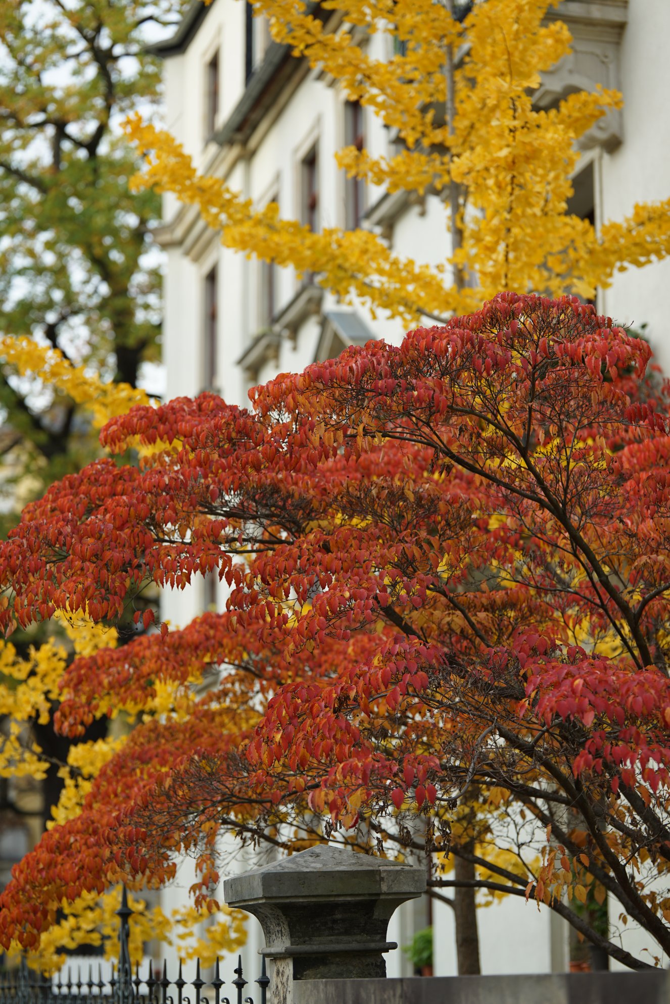 Hochformat-Version des Motivs 