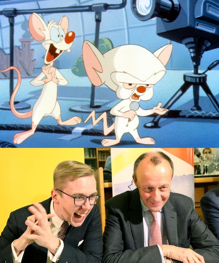 Pinky&Brain zeigen Ähnlichkeit zu Amthor&Merz