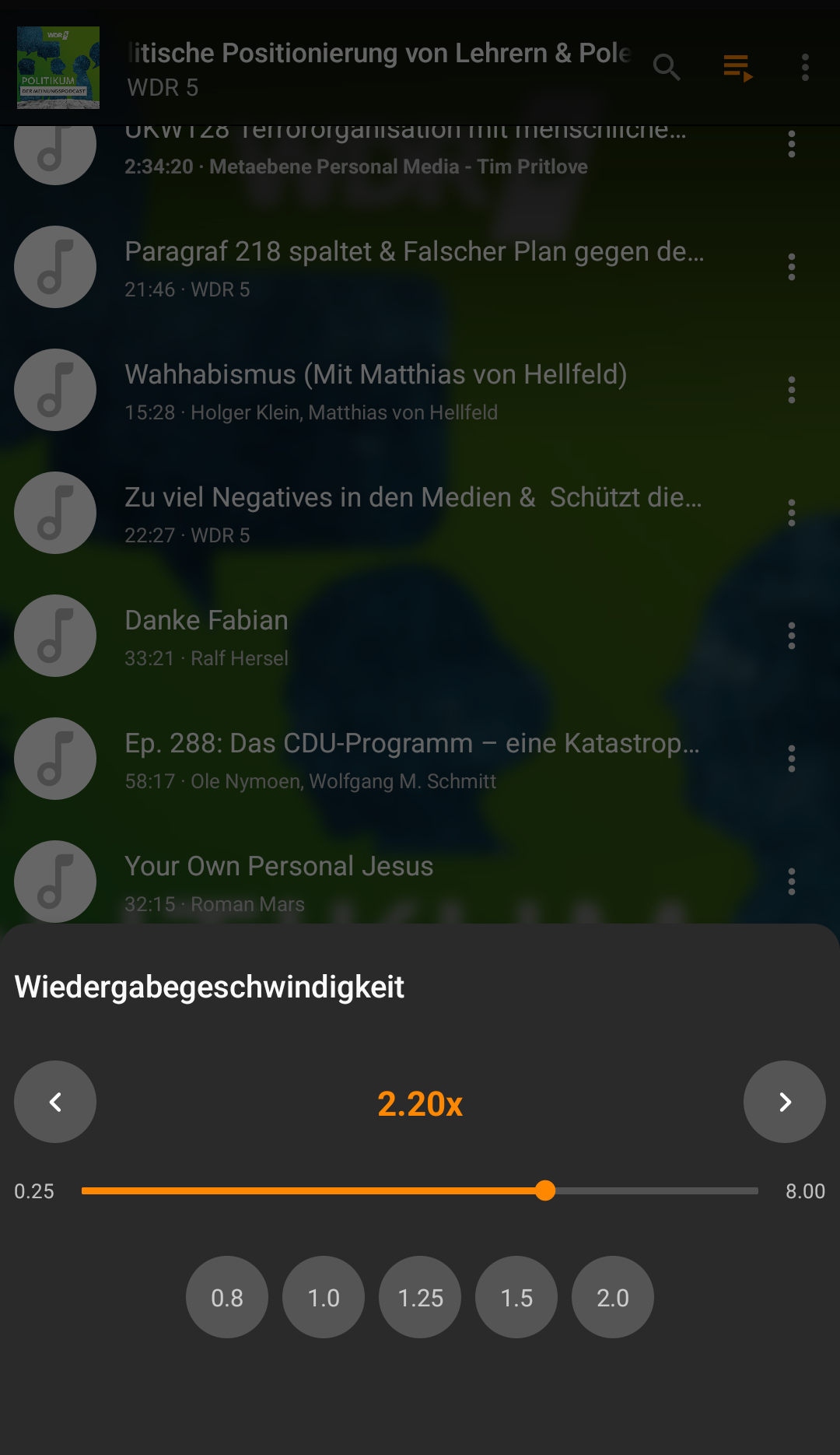 Schritt zwei: Datei abgespielt, nächste Datei spielt auf Normalgeschwindigkeit ab
Label oben ist weg - Dialog unten wird nicht geschlossen oder aktualisiert