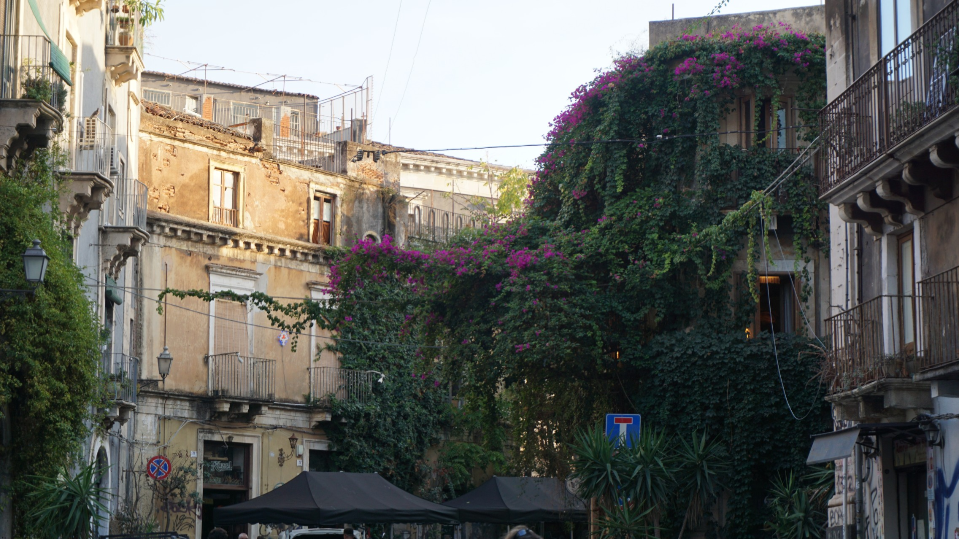 more focused on the buildings instead of the road
