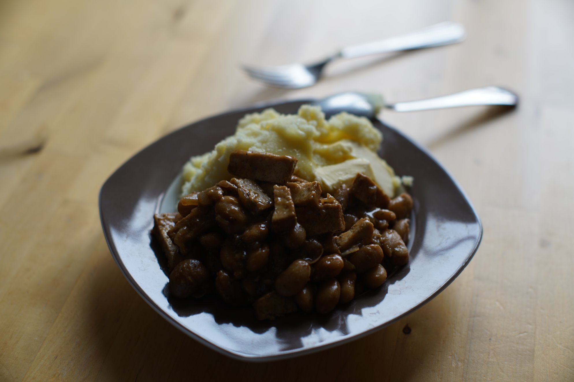 Ein Teller mit Kartoffelbrei und sehr stückinger, brauner Mischung/Soße