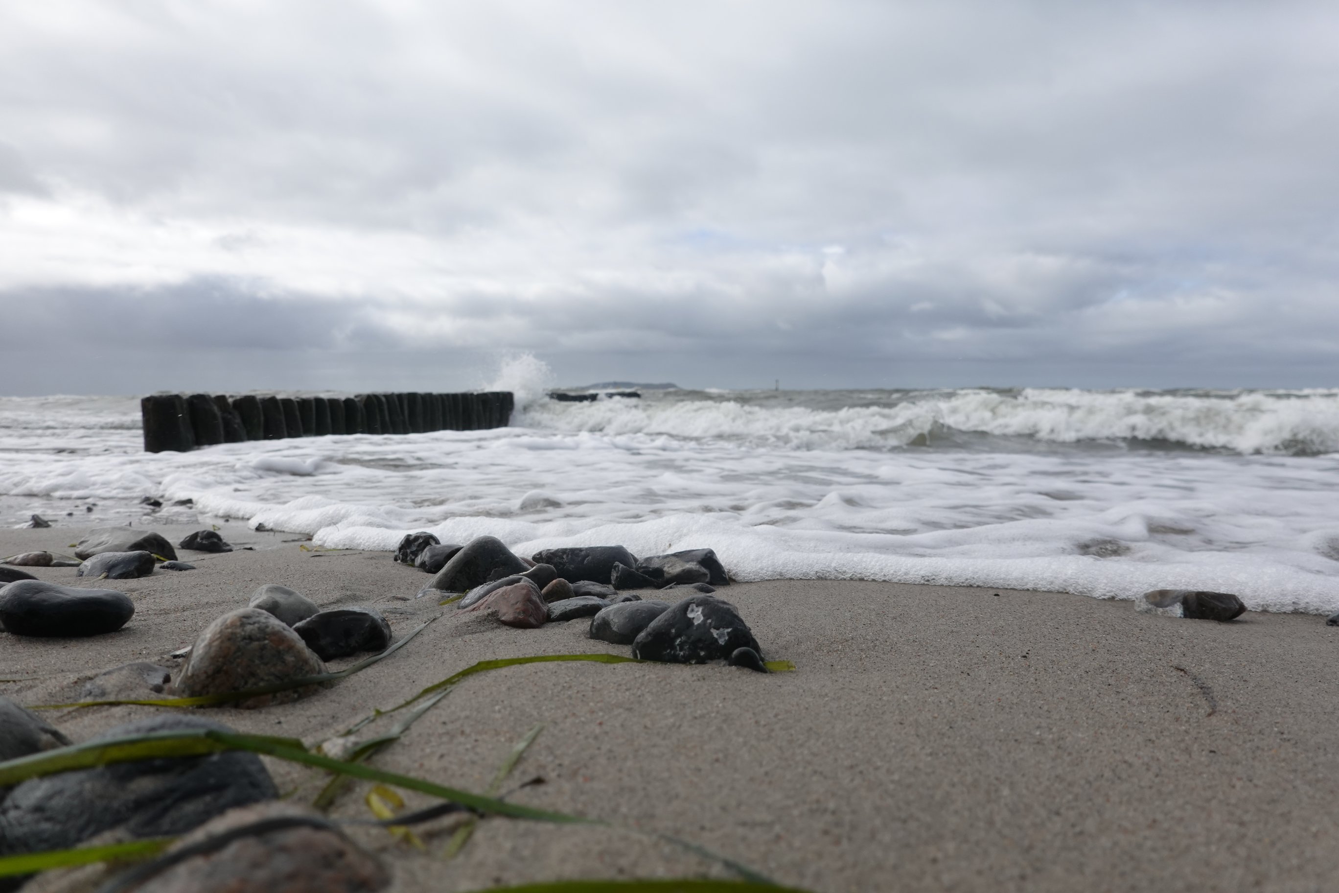 Algen und kleine, runde Steine im Vordergrund, schaumige Wellen kommen flach angerollt 