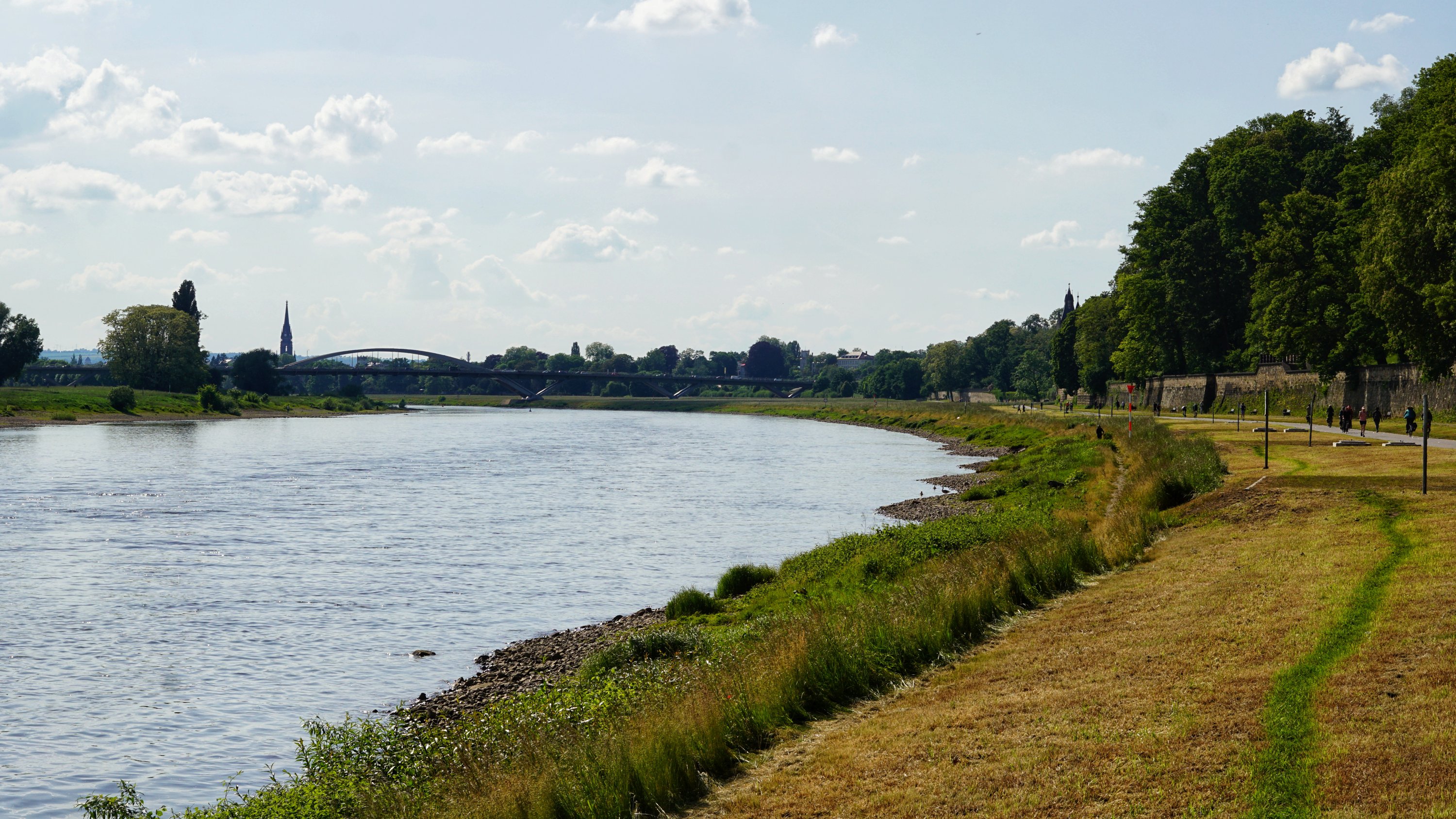 Elbe in die Gegenrichtung, mit Waldschlößchenbrücke 