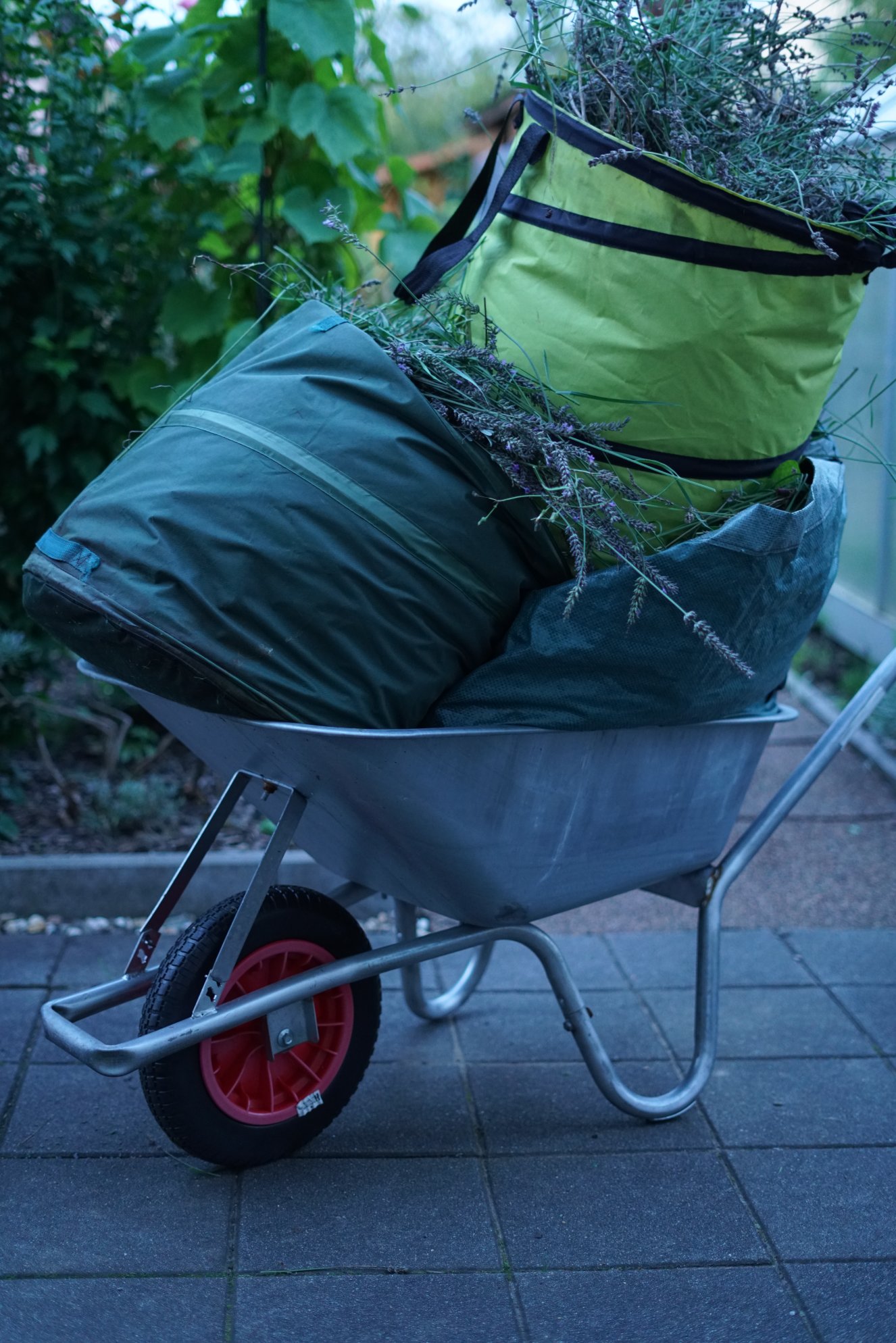Schubkarre mit 3 großen Säcken Grünschnitt 