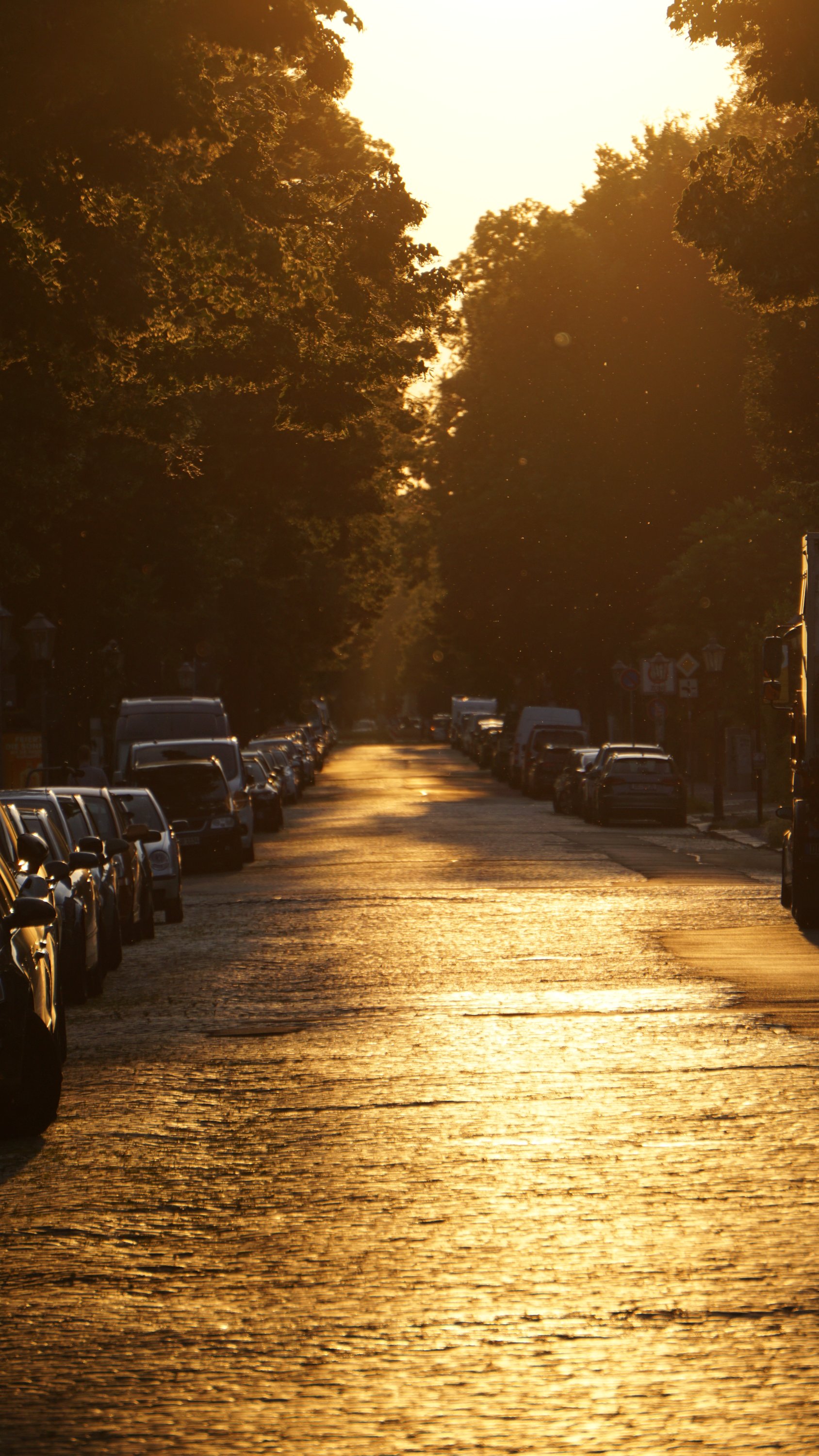 Pflasterstraße bei viel Tele, in Gold-gelbem Gegenlicht des Sonnenuntergangs