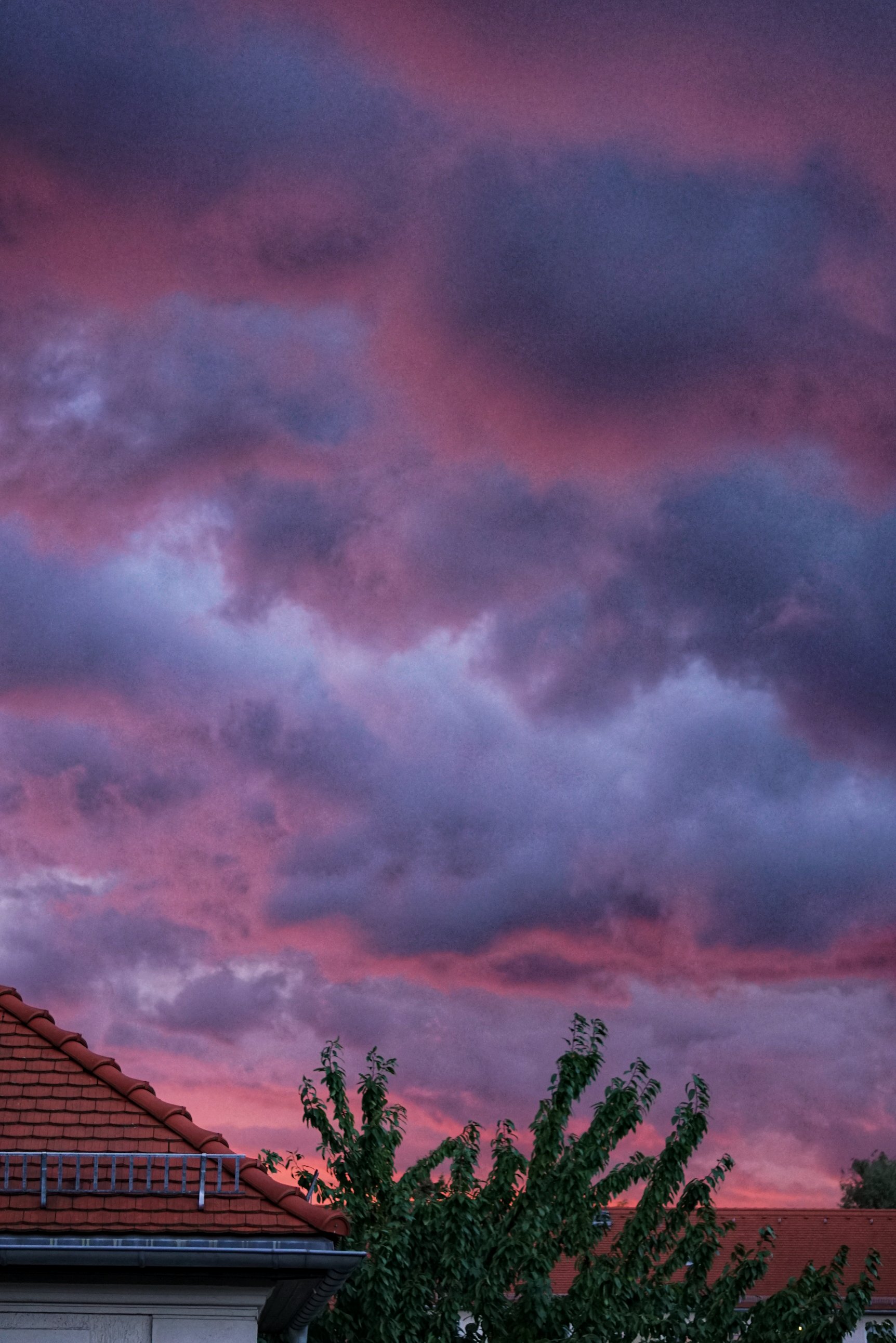 Rosa-Lila-Blaue Wolkendecke über Baum und Haus 

(Dieses Bild entstand entgegen der Tags mit dem SEL55210)