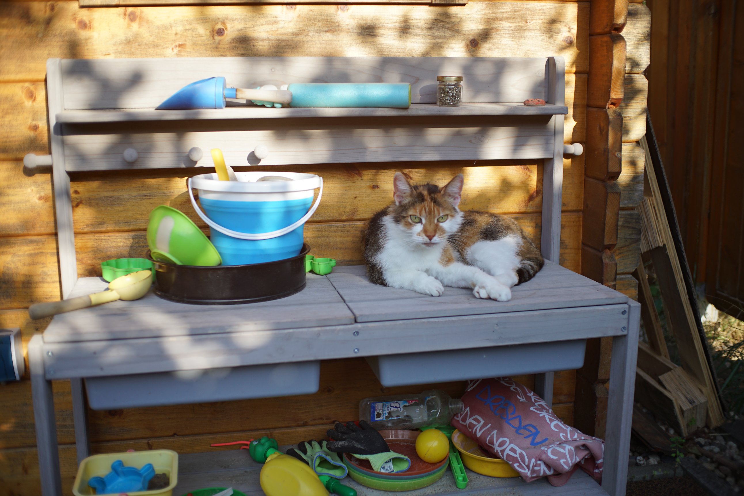 Katze auf bunt dekorierter Matschküche 
