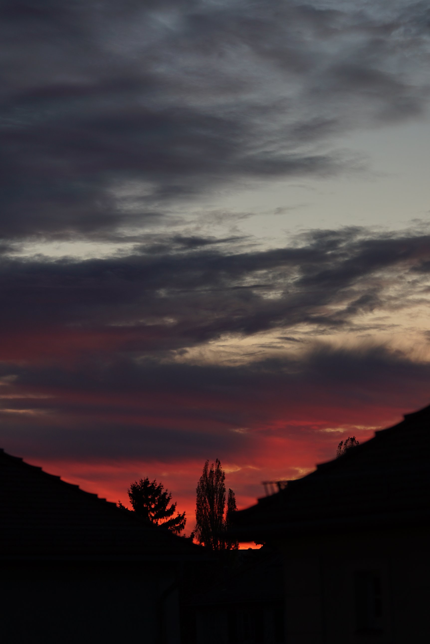 Zwei Bäume hinter Dächern, Himmel mit Abendrot 