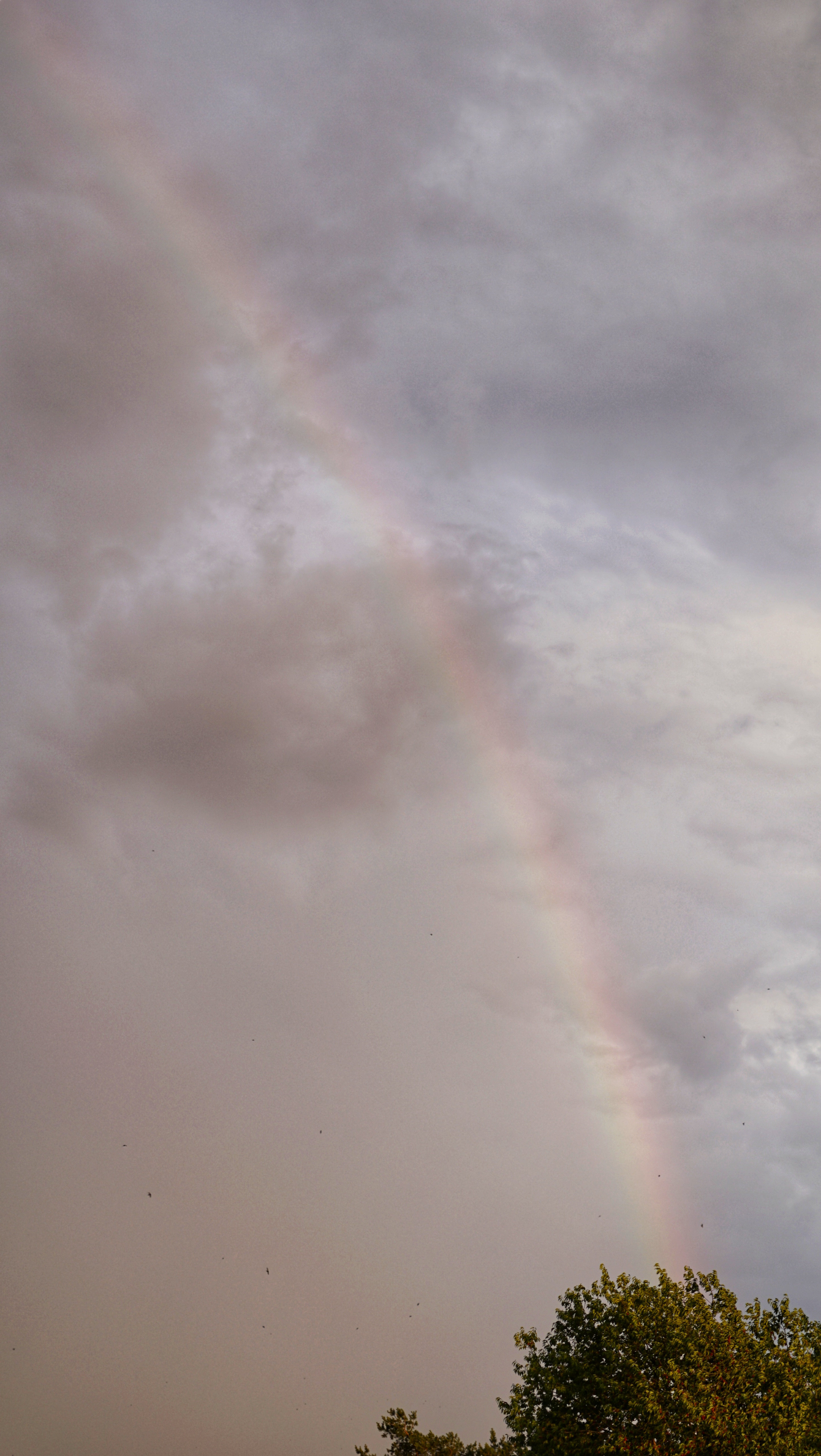 Hochformat-Bild des Regenbogens 