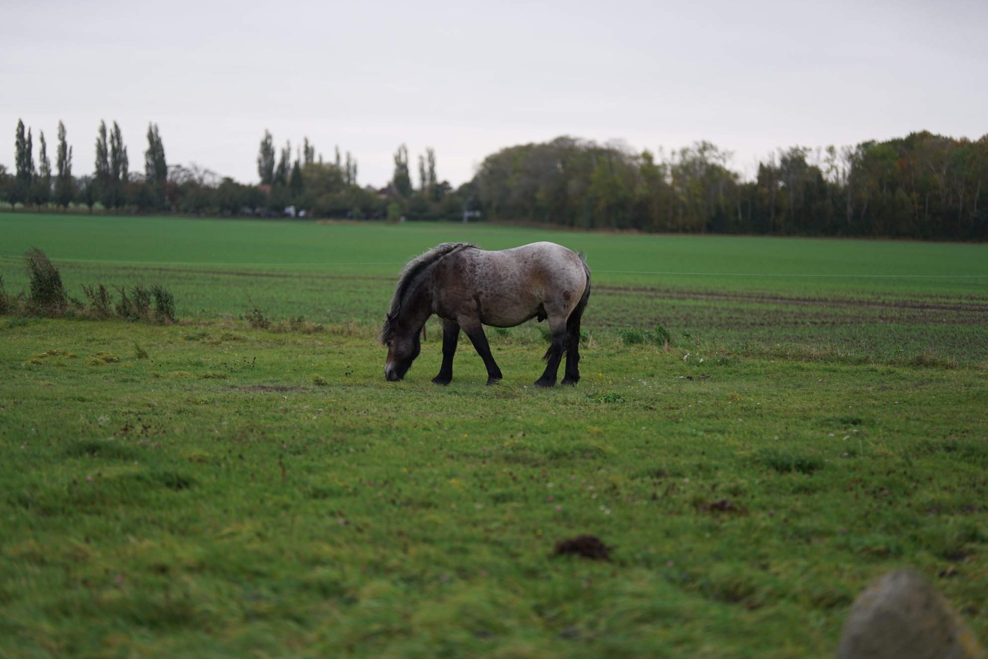 Aus etwas größerer Entfernung, selbes Motiv 
