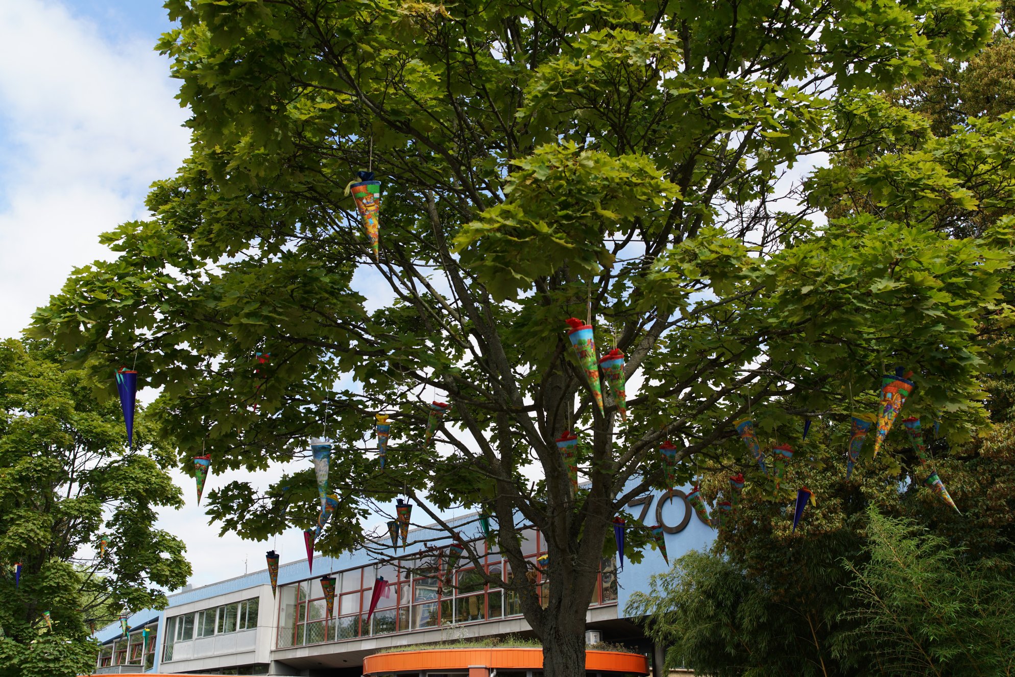 Baum mit Zuckertüten behangen