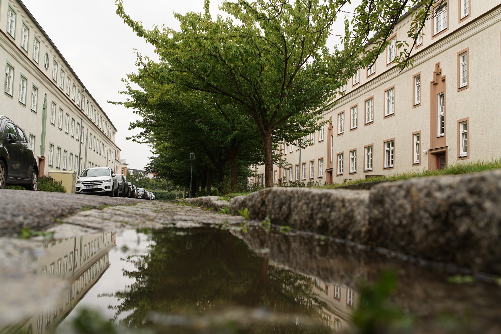Selbe Straße, Pfütze 2m weiter mit sehr ähnlichem Blick 