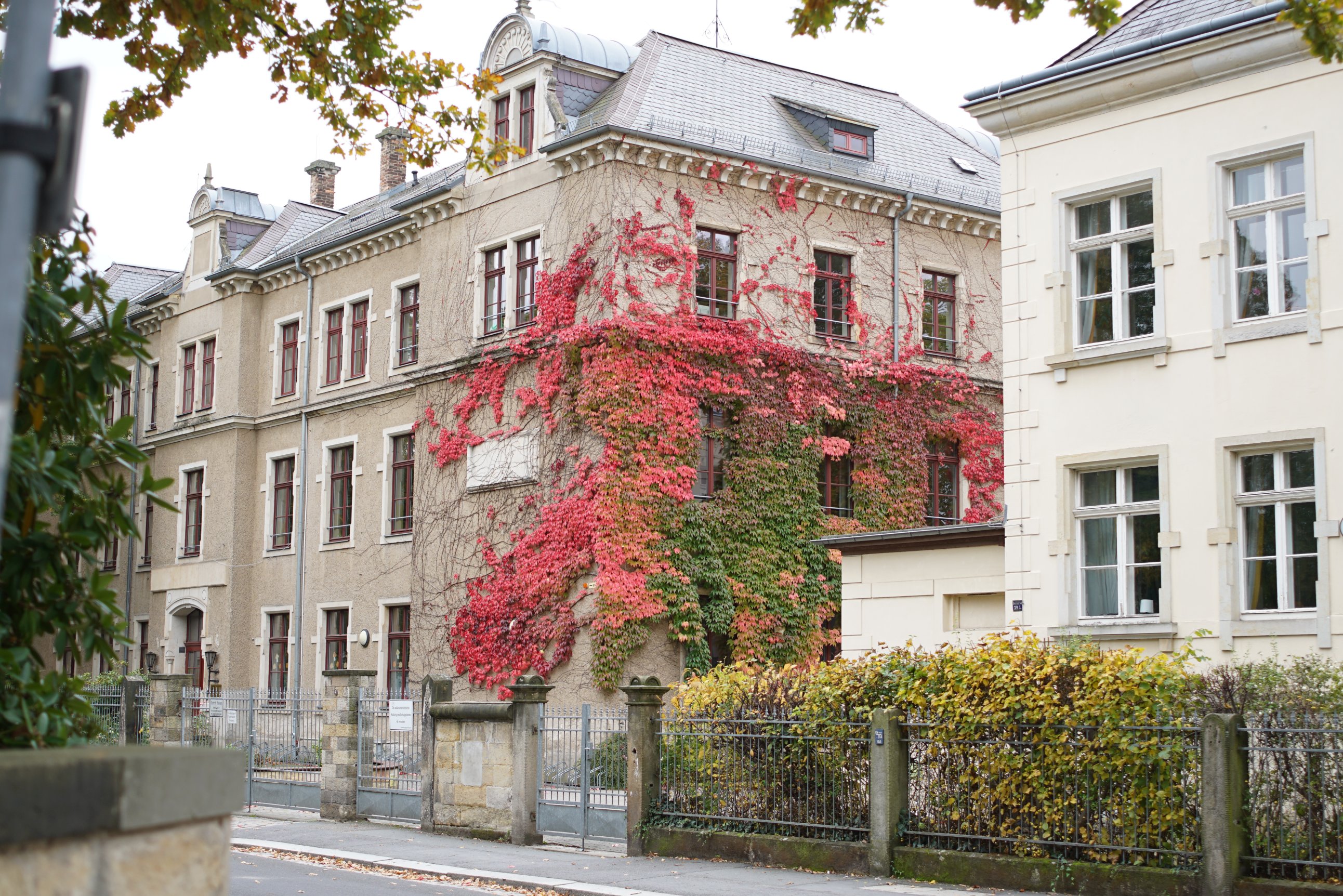 Weiteres, beranktes Haus, dieses jedoch deutlich größer und Ranken mit mehr grün 