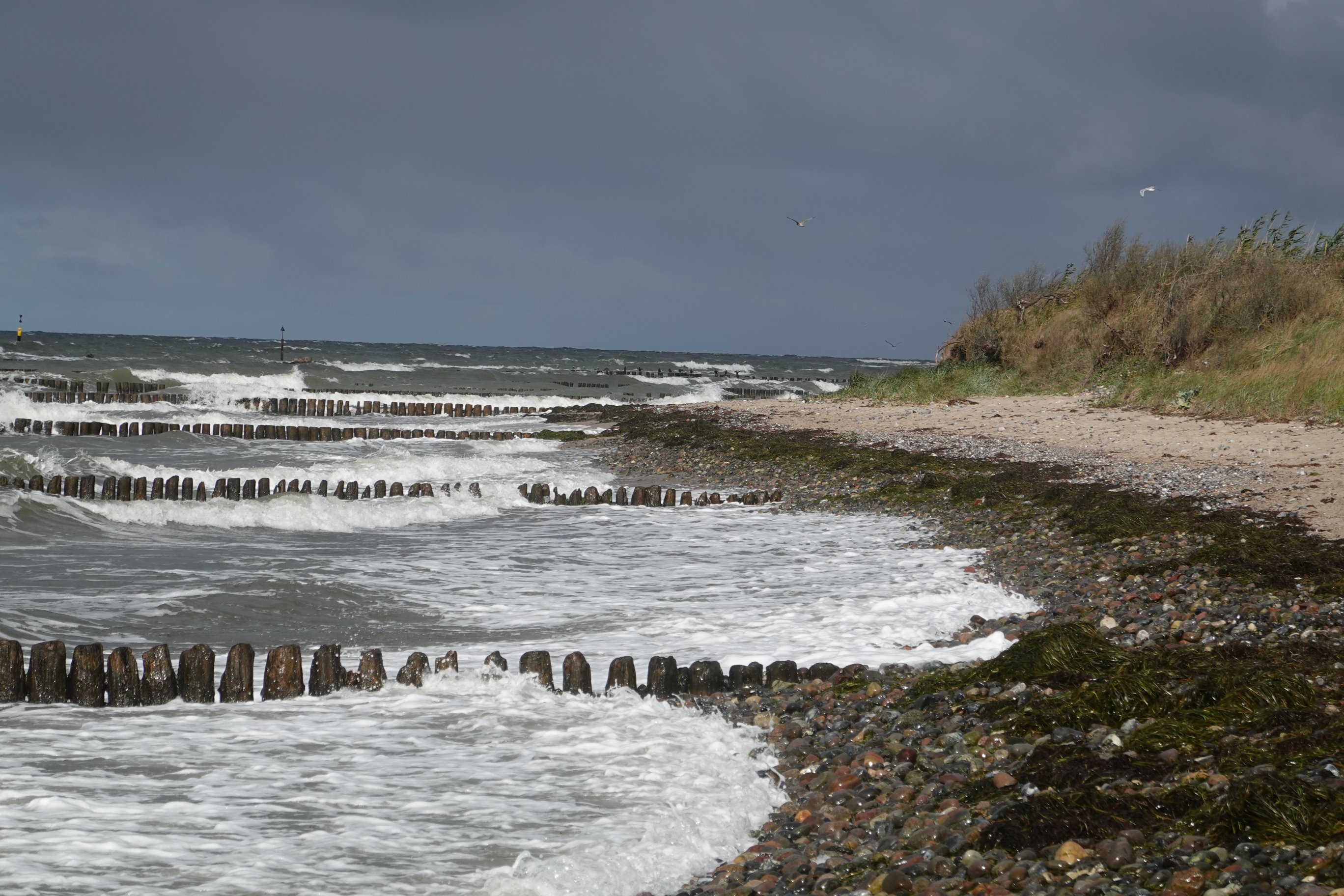 Steinstrand mit Holzbohlen als Wellenbrecher 