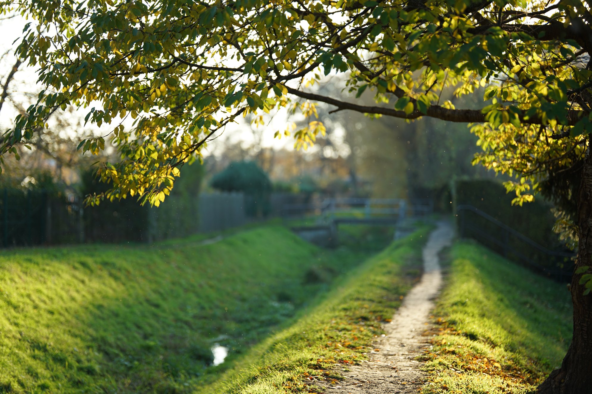 Landgraben unter Baum, im Sonnenschein 