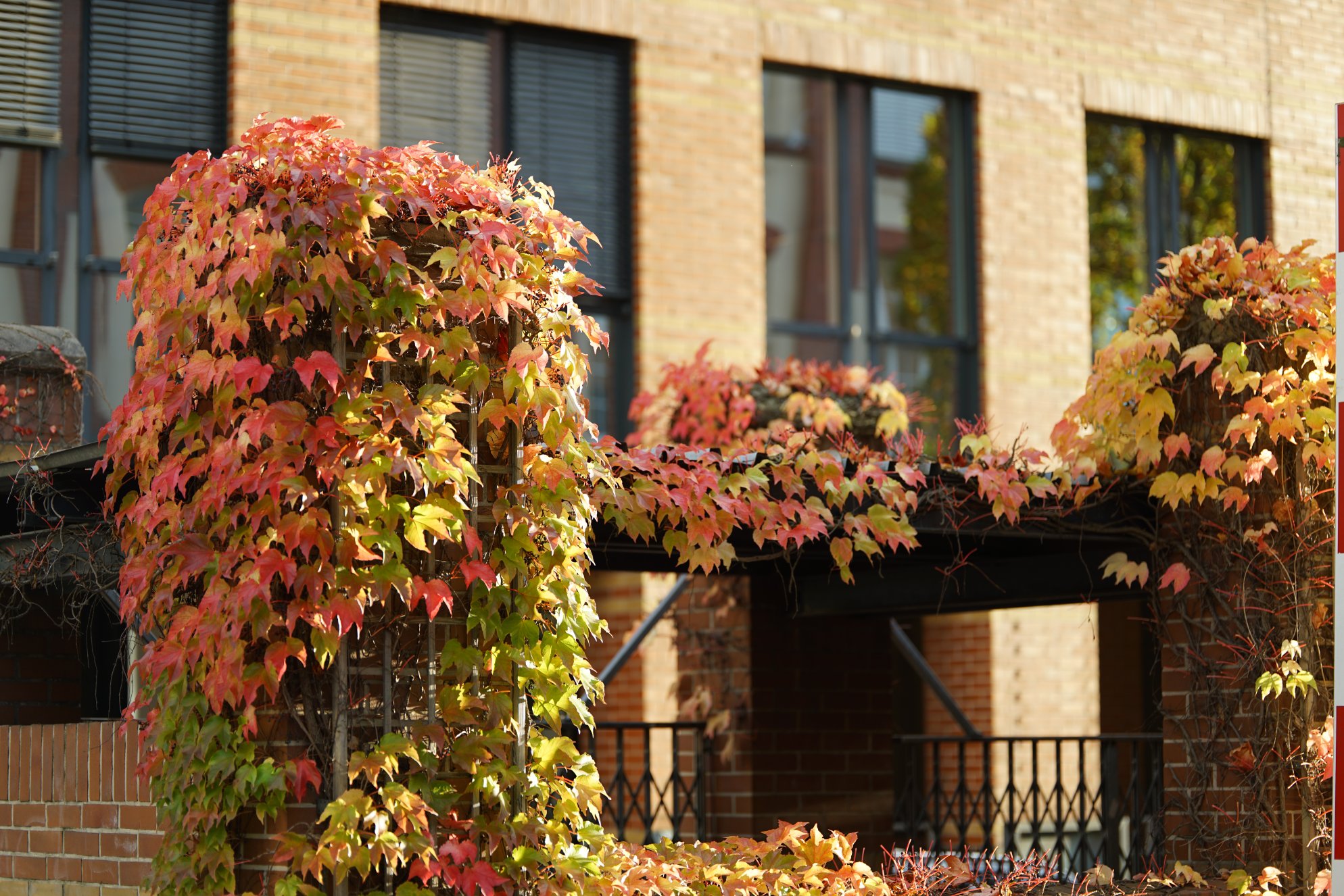 Die selben Säulen aus größerer Entfernung, mit mehr optischem Kontext 
