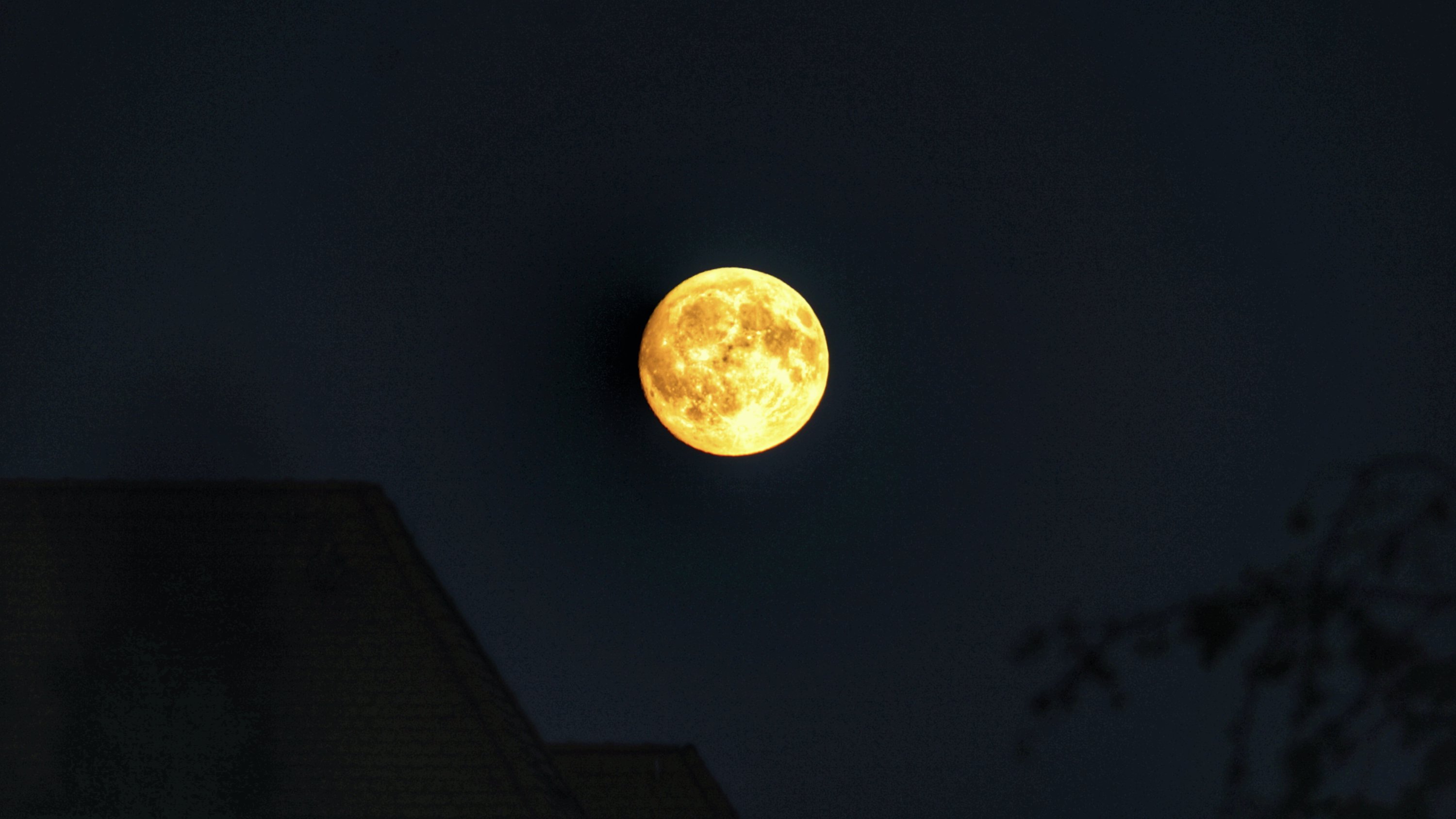 Gelb-rötlicher Mond über Baum und Dach 