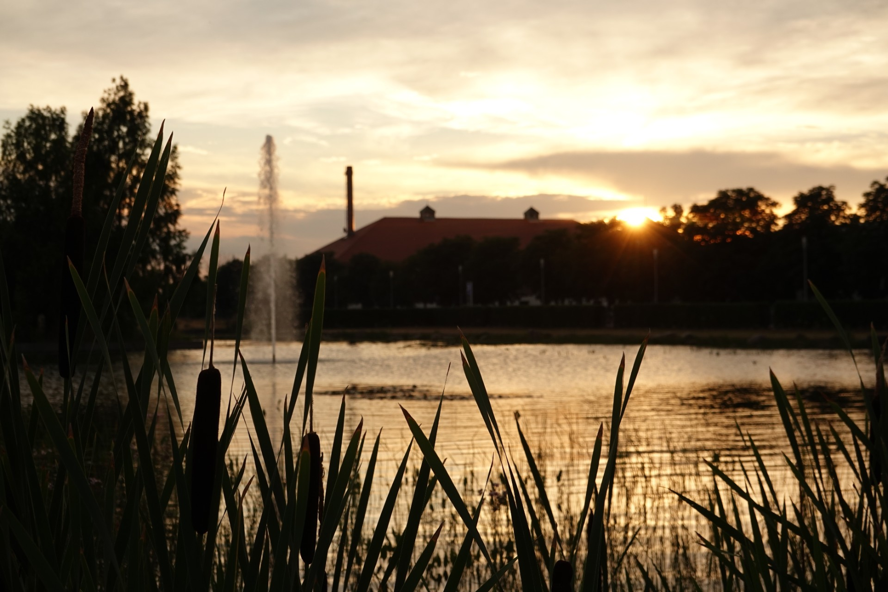 Teich im Abendrot