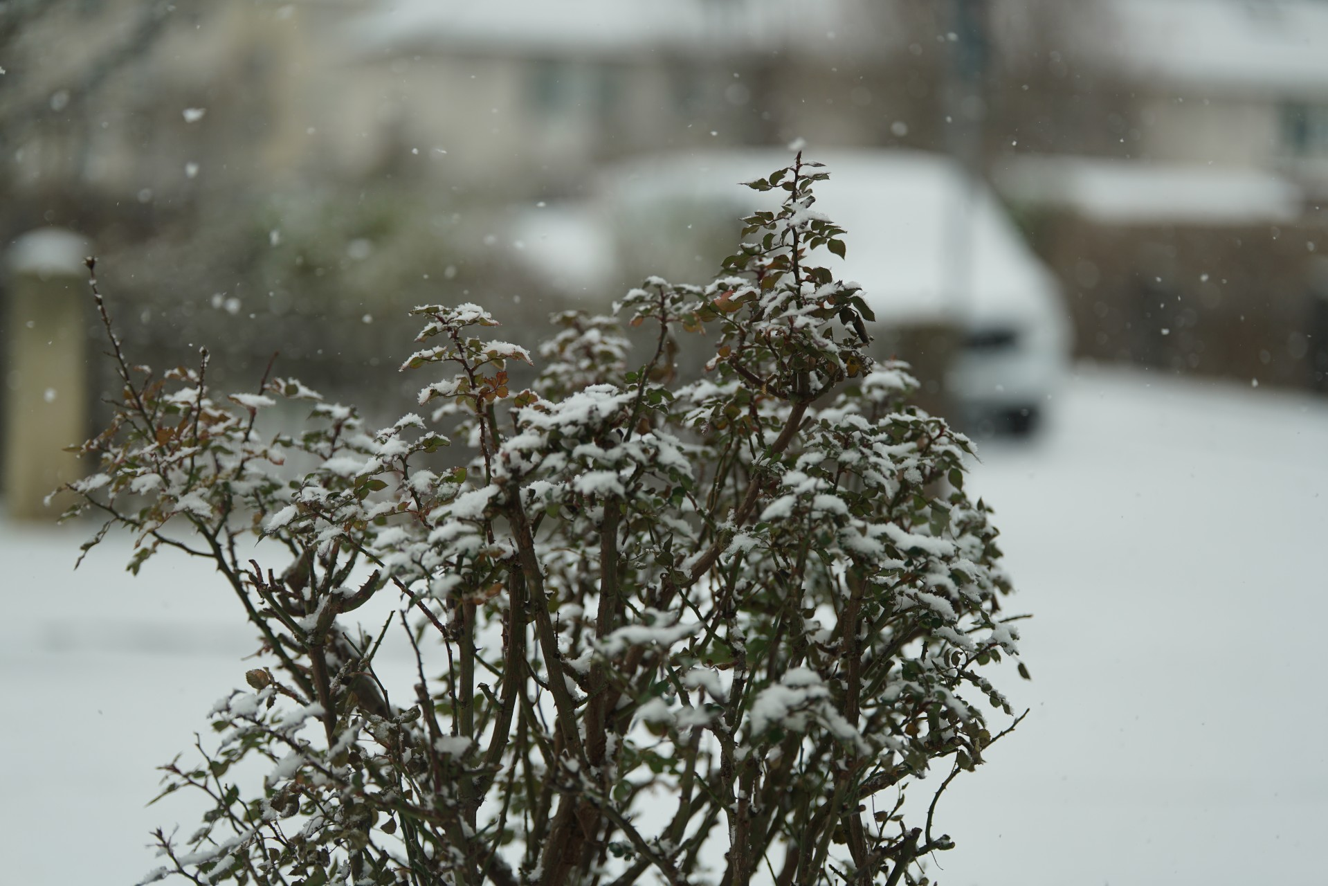 Blickwinkel leicht anders - längerer Platz im Hintergrund