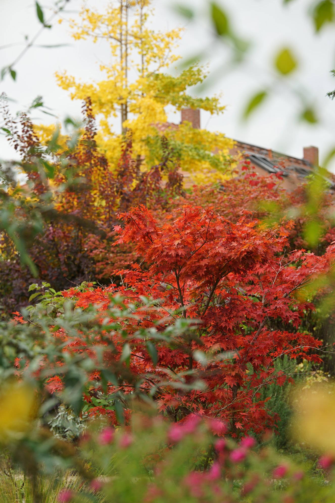 Selber Blick mit mehr Tiefenschärfe 