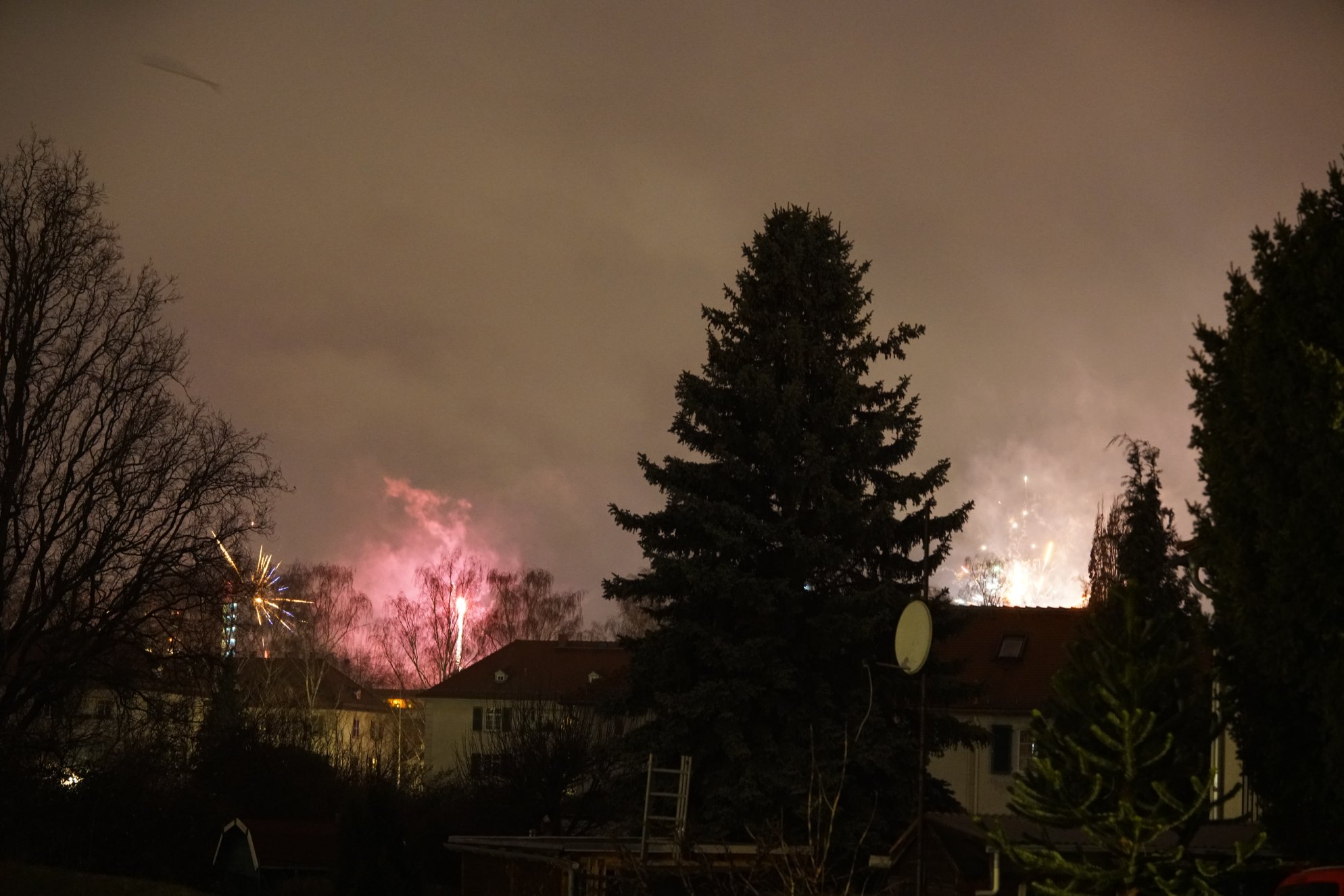 Blick an einem hohen Baum vorbei, überall leuchtet es knapp über Bodenhöhe 