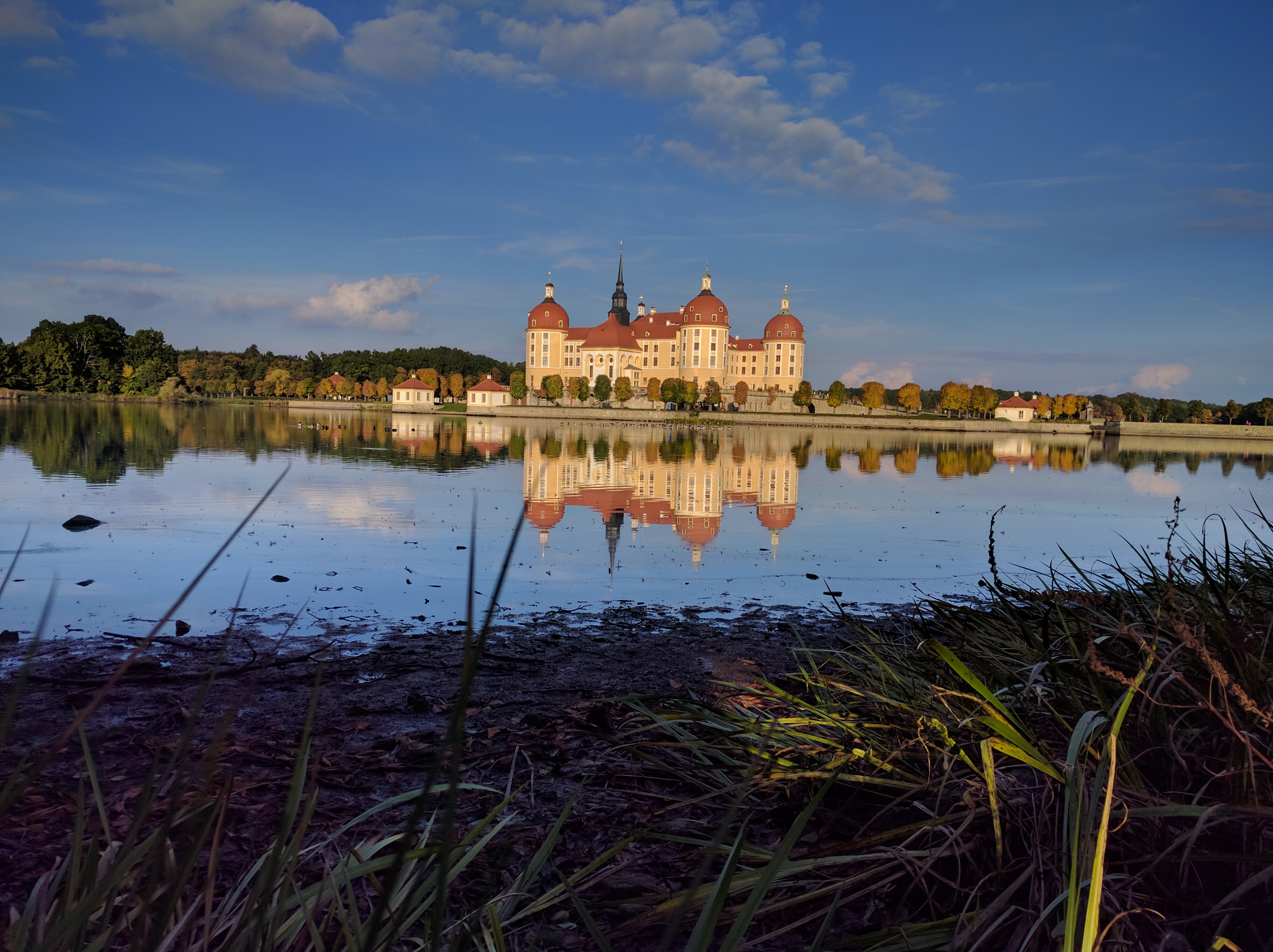 Schloß Moritzburg spiegelt sich im See, Gras im Vordergrund, blauer Himmel Schloß Moritzburg spiegelt sich im See, Gras im Vordergrund, blauer Himmel