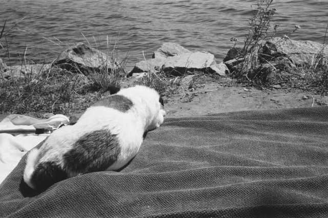 2023/076: Auftrocknen nach dem Hundewaschtag. 2023/076: Auftrocknen nach dem Hundewaschtag.